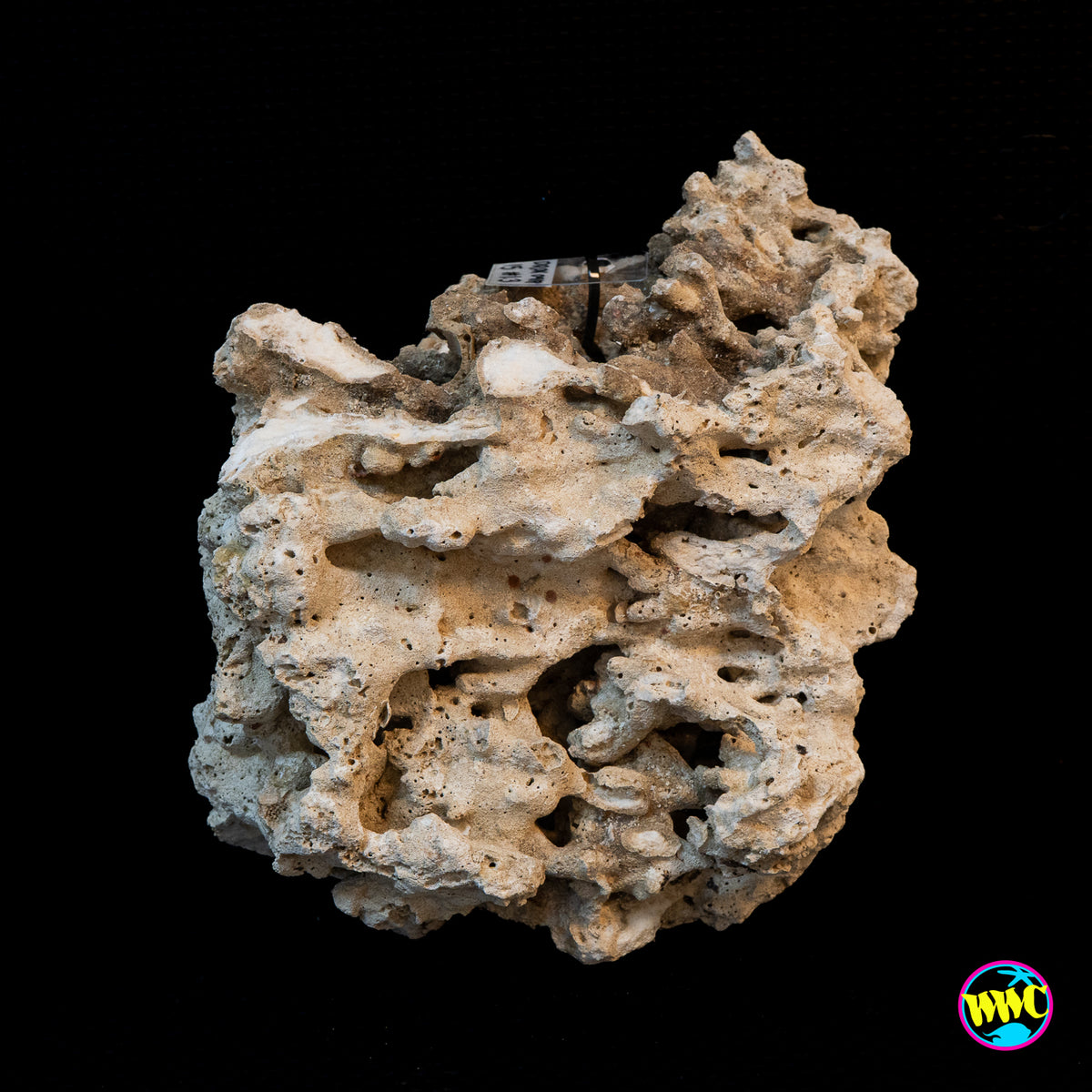 Pukani Dry Rock WYSIWYG #14