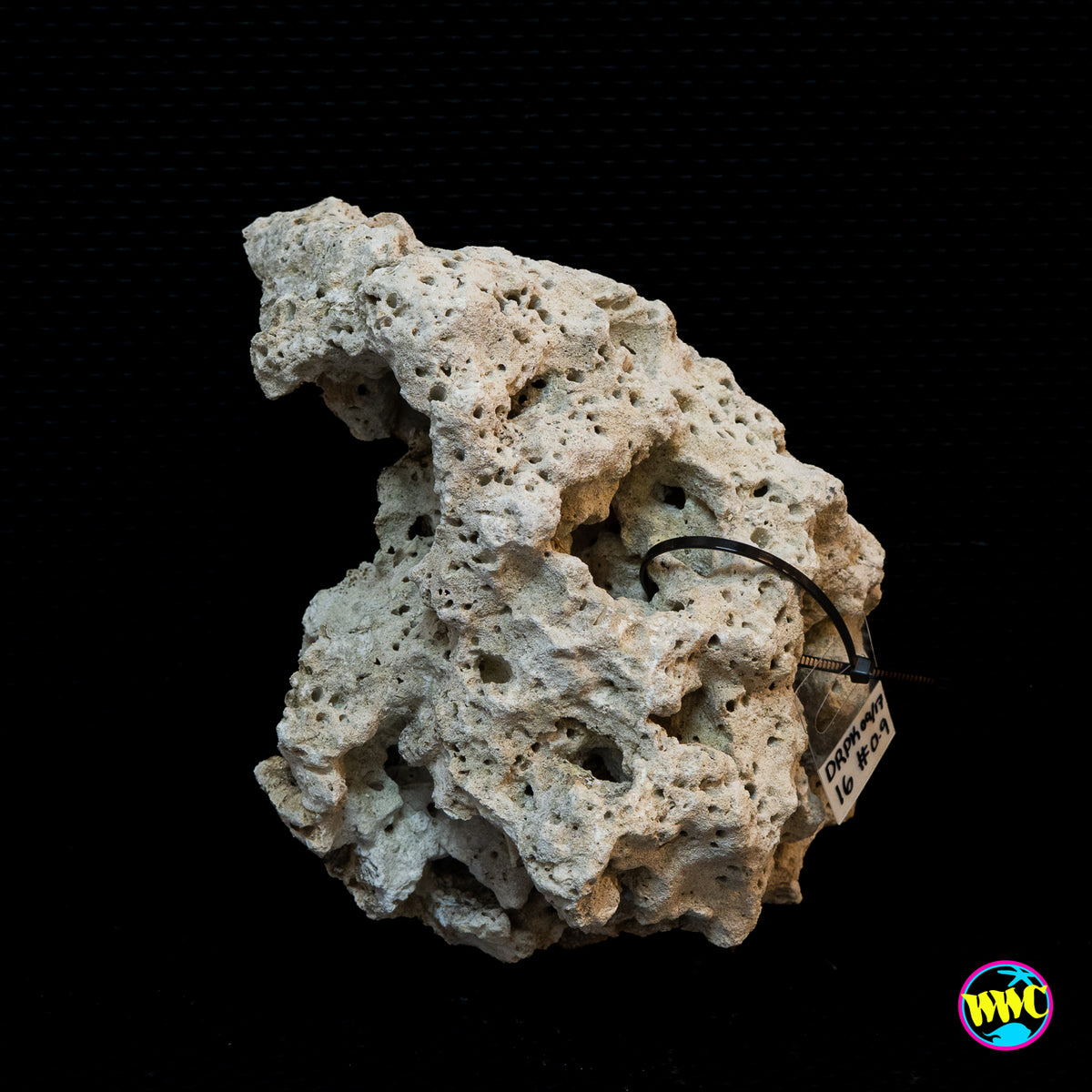 Pukani Dry Rock WYSIWYG #15