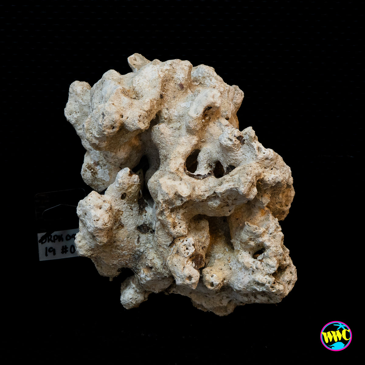Pukani Dry Rock WYSIWYG #18