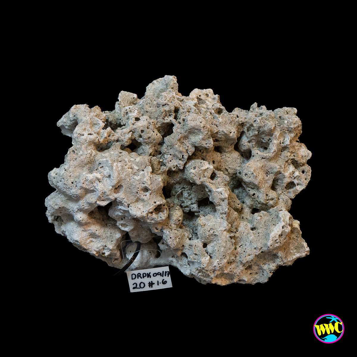 Pukani Dry Rock WYSIWYG #19