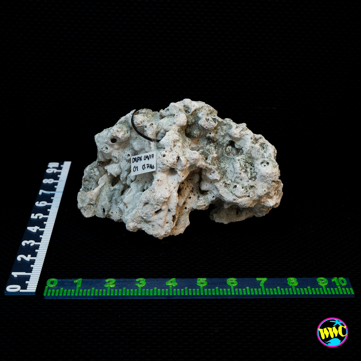 Pukani Dry Rock WYSIWYG #1