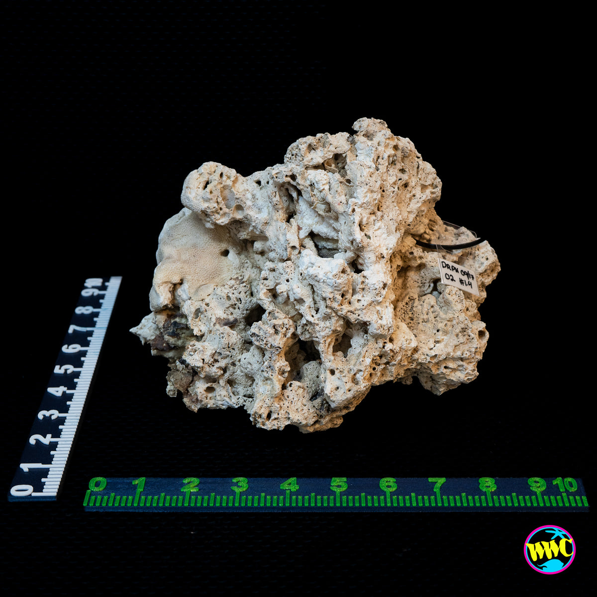 Pukani Dry Rock WYSIWYG #2
