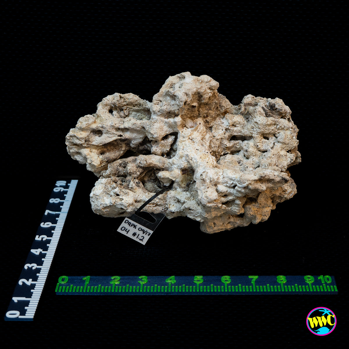 Pukani Dry Rock WYSIWYG #4