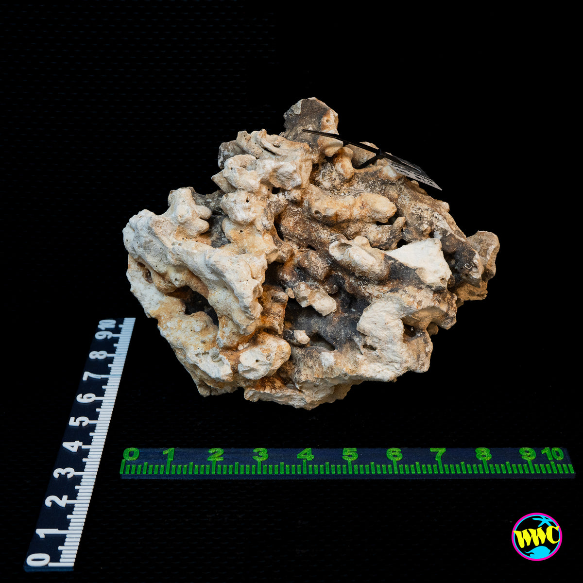 Pukani Dry Rock WYSIWYG #5