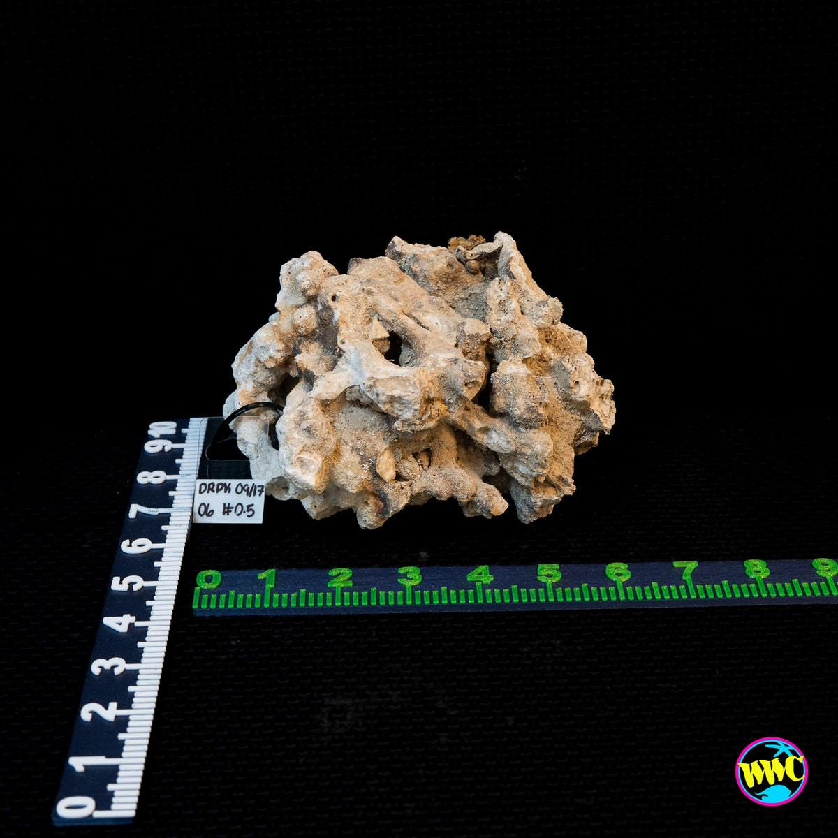 Pukani Dry Rock WYSIWYG #6