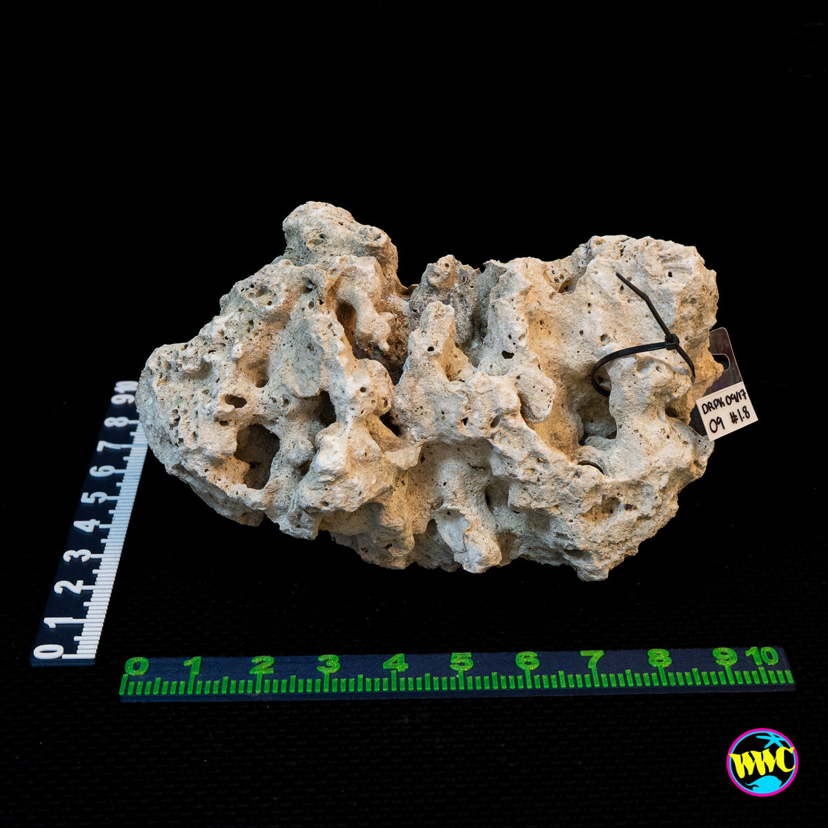 Pukani Dry Rock WYSIWYG #9