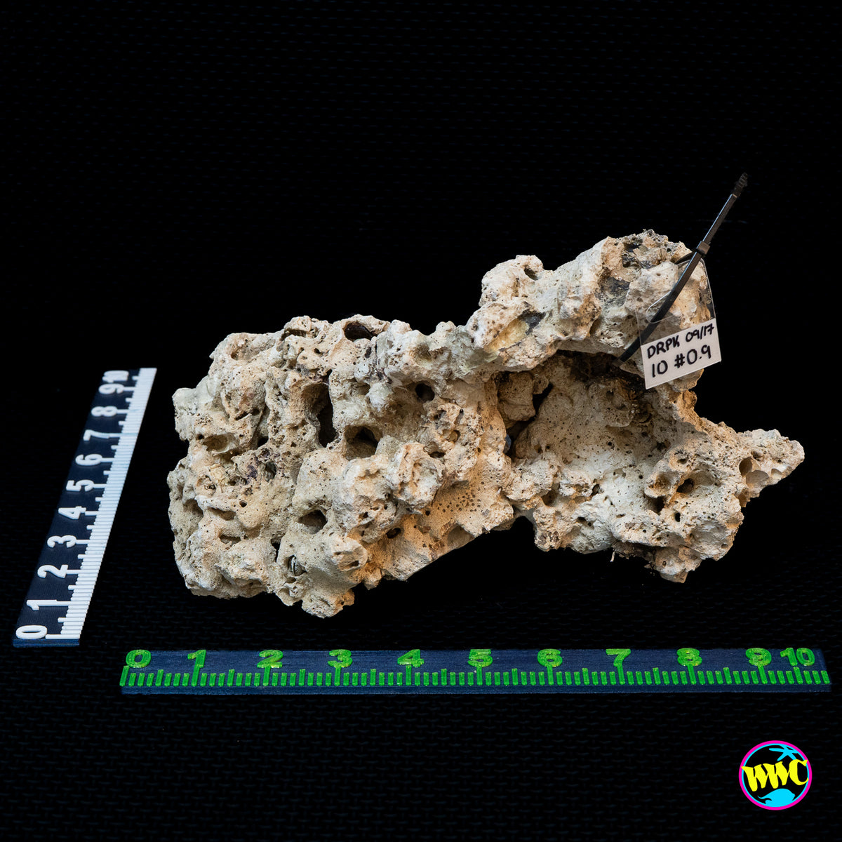 Pukani Dry Rock WYSIWYG #10