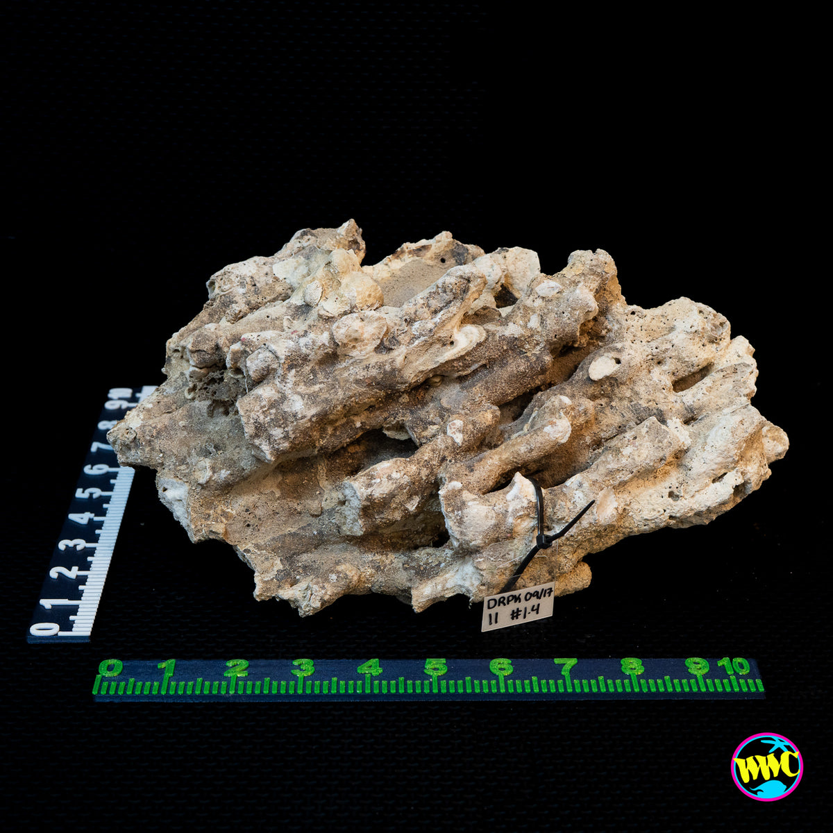Pukani Dry Rock WYSIWYG #11