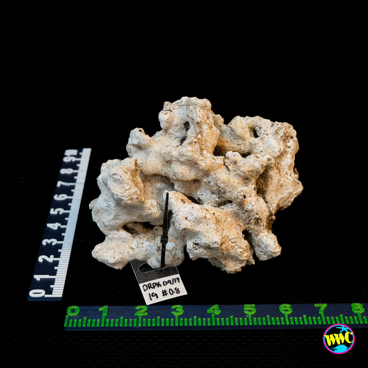 Pukani Dry Rock WYSIWYG #19