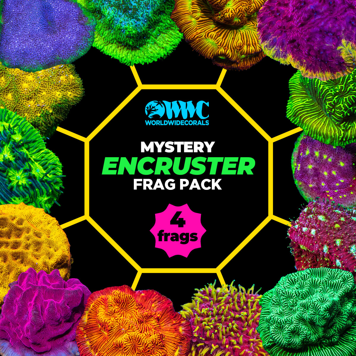 Mystery Encruster Frag Pack (4 Frags)
