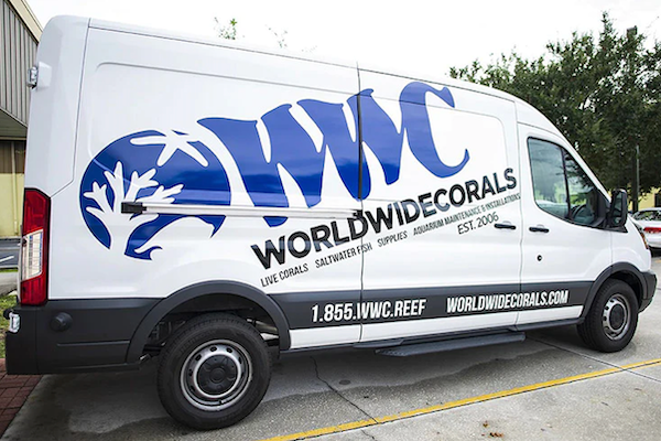 World Wide Corals
