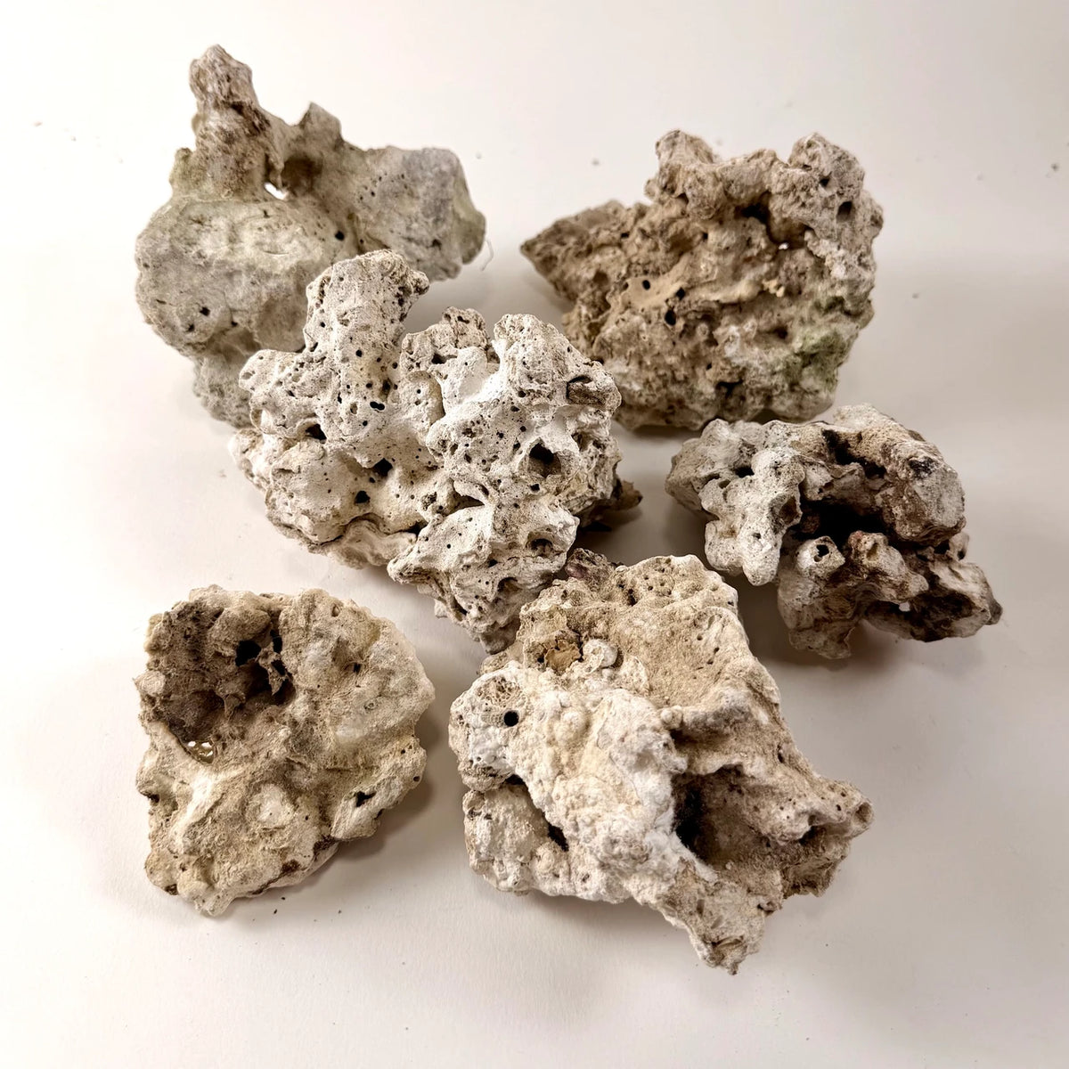 Pukani Dry Rock – 15 lb