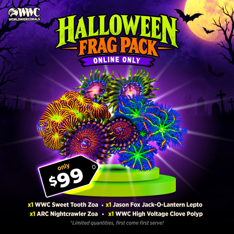 WWC Feature Friday - Halloween Frag Pack