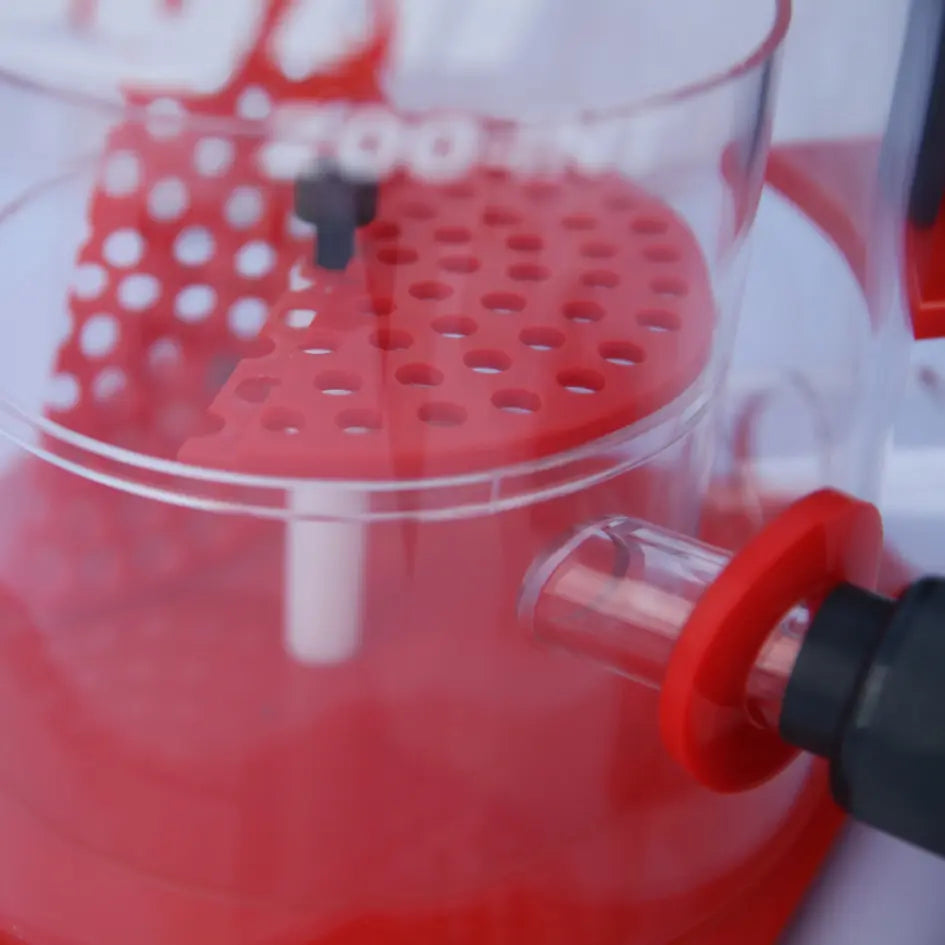Octo Regal 300INT Protein Skimmer