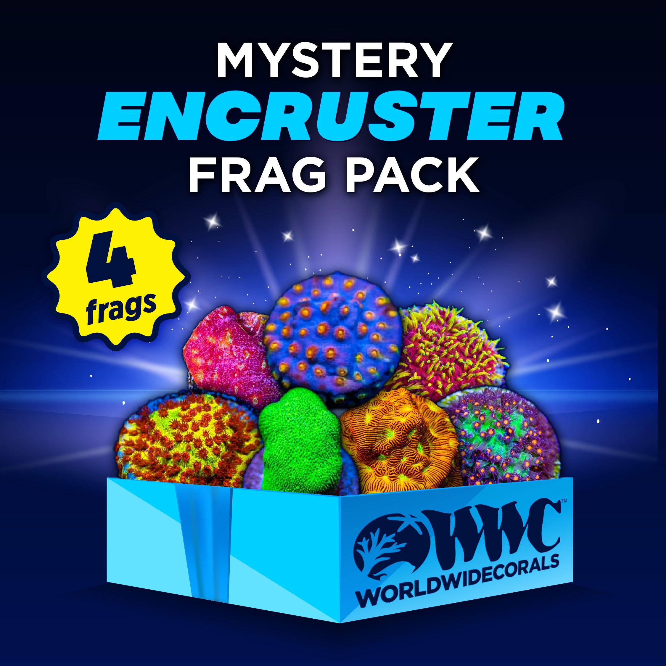 Mystery Encruster Frag Pack (4 Frags)