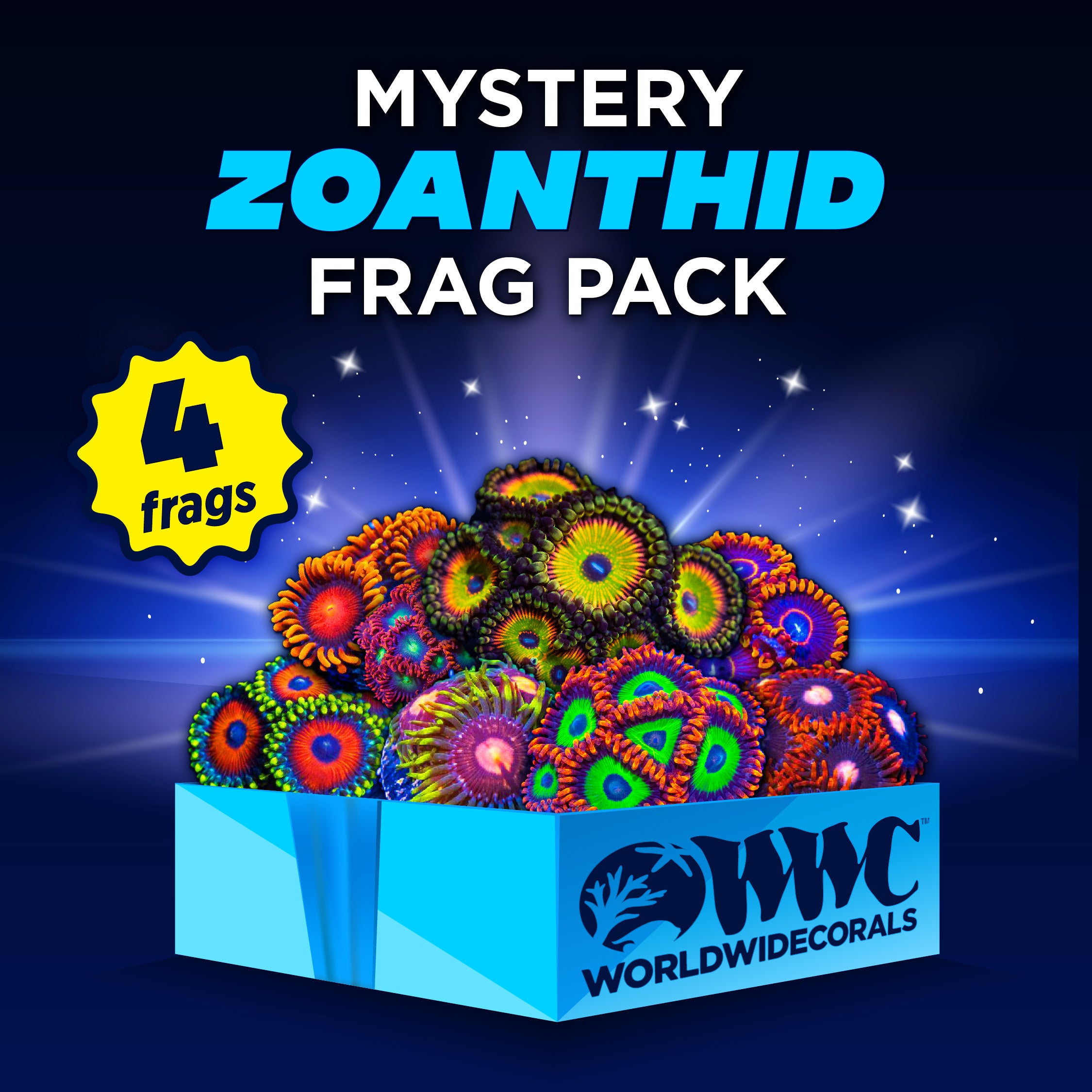 Mystery Zoanthid Frag Pack (4 Frags)