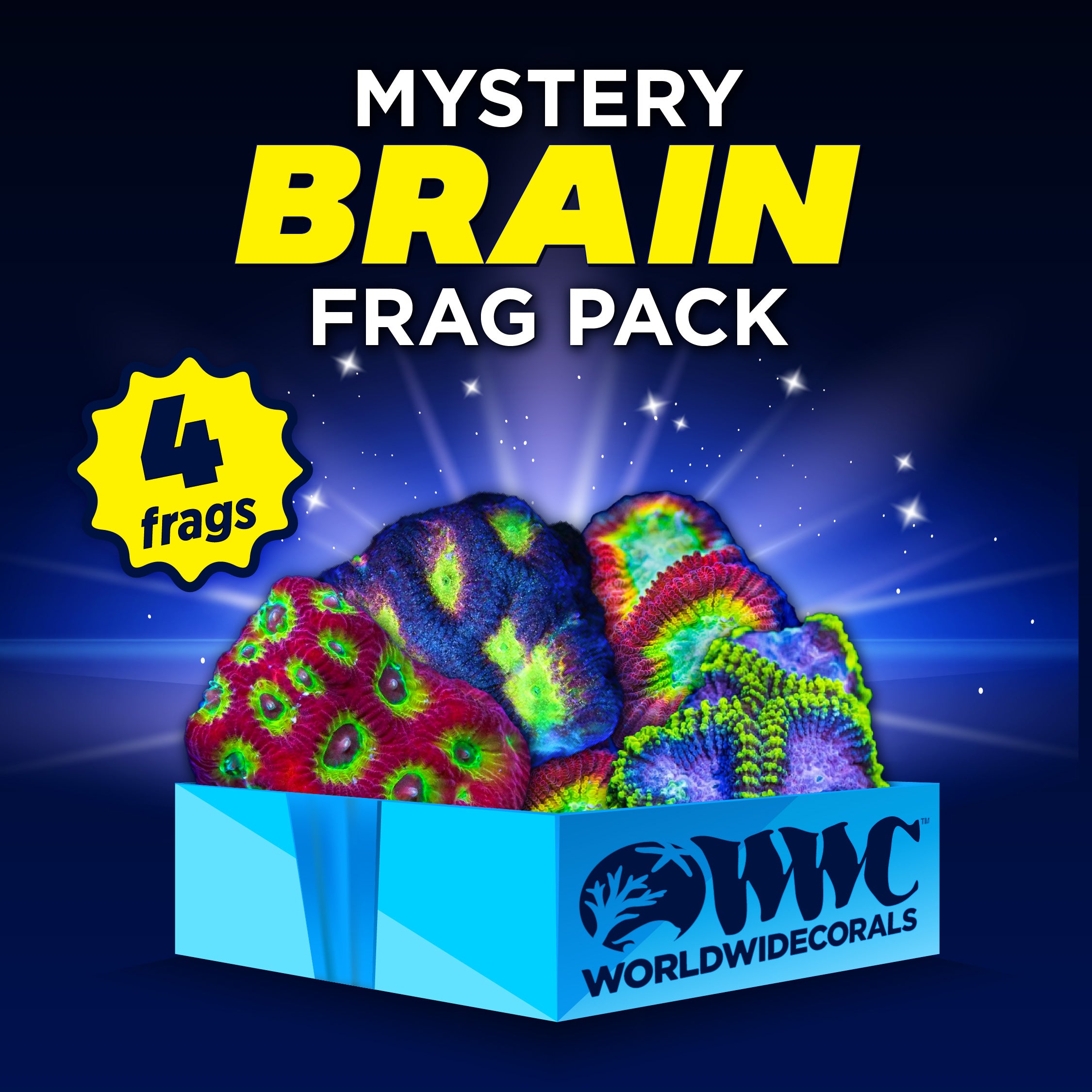 Mystery Brain Frag Pack (4 Frags)