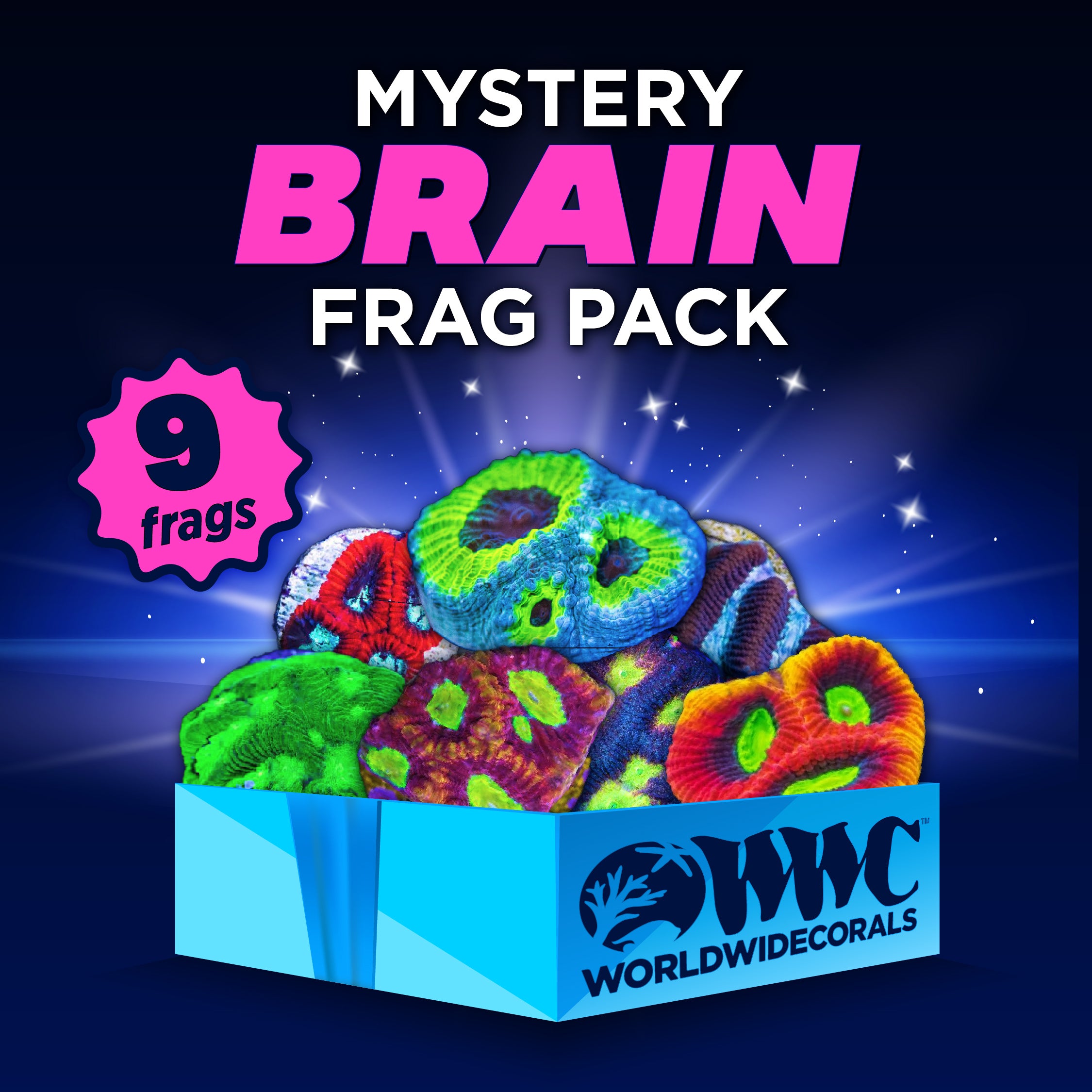 Mystery Brain Frag Pack (9 Frags)