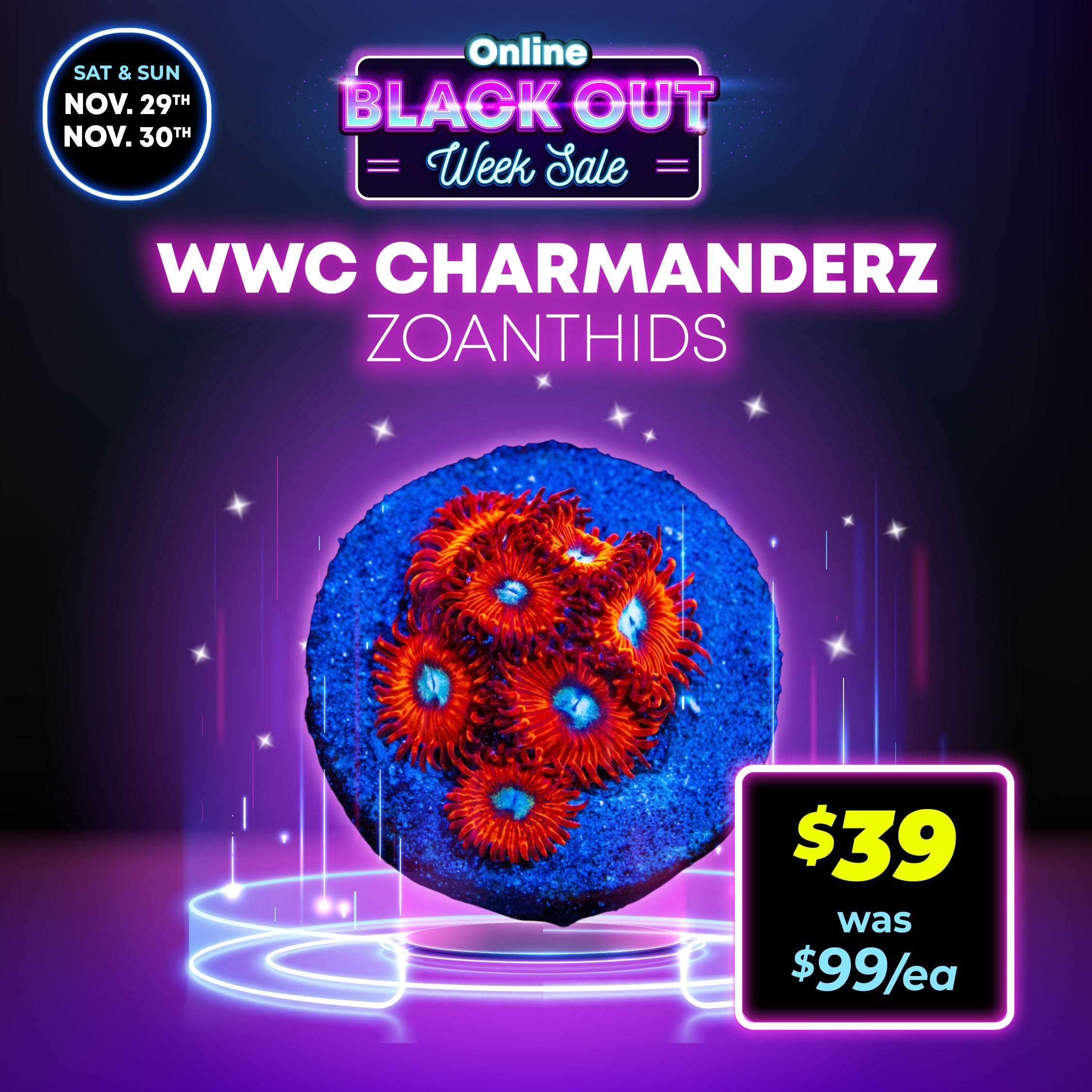 Charmanderz Zoanthids