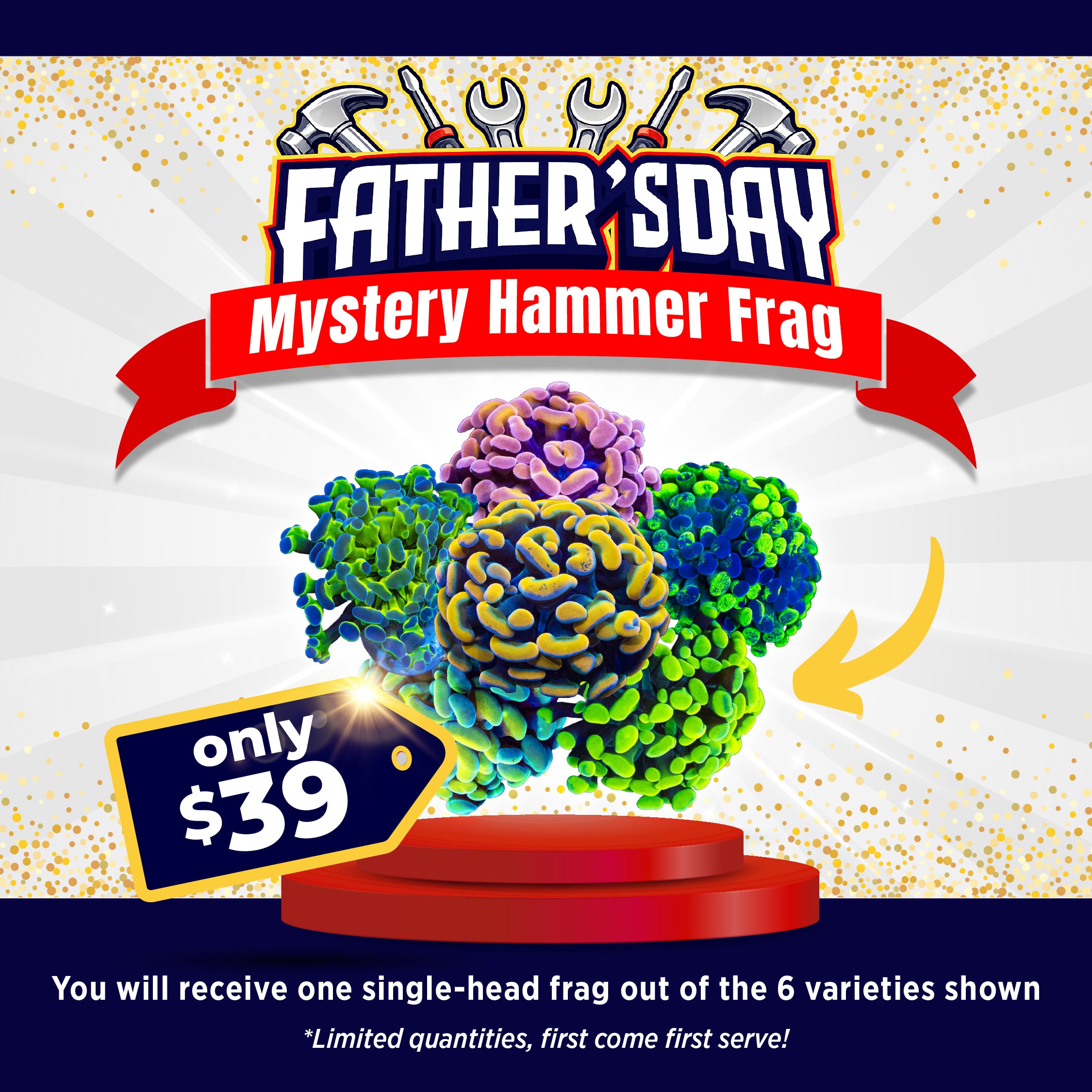 Father's Day Mystery Hammer Frag