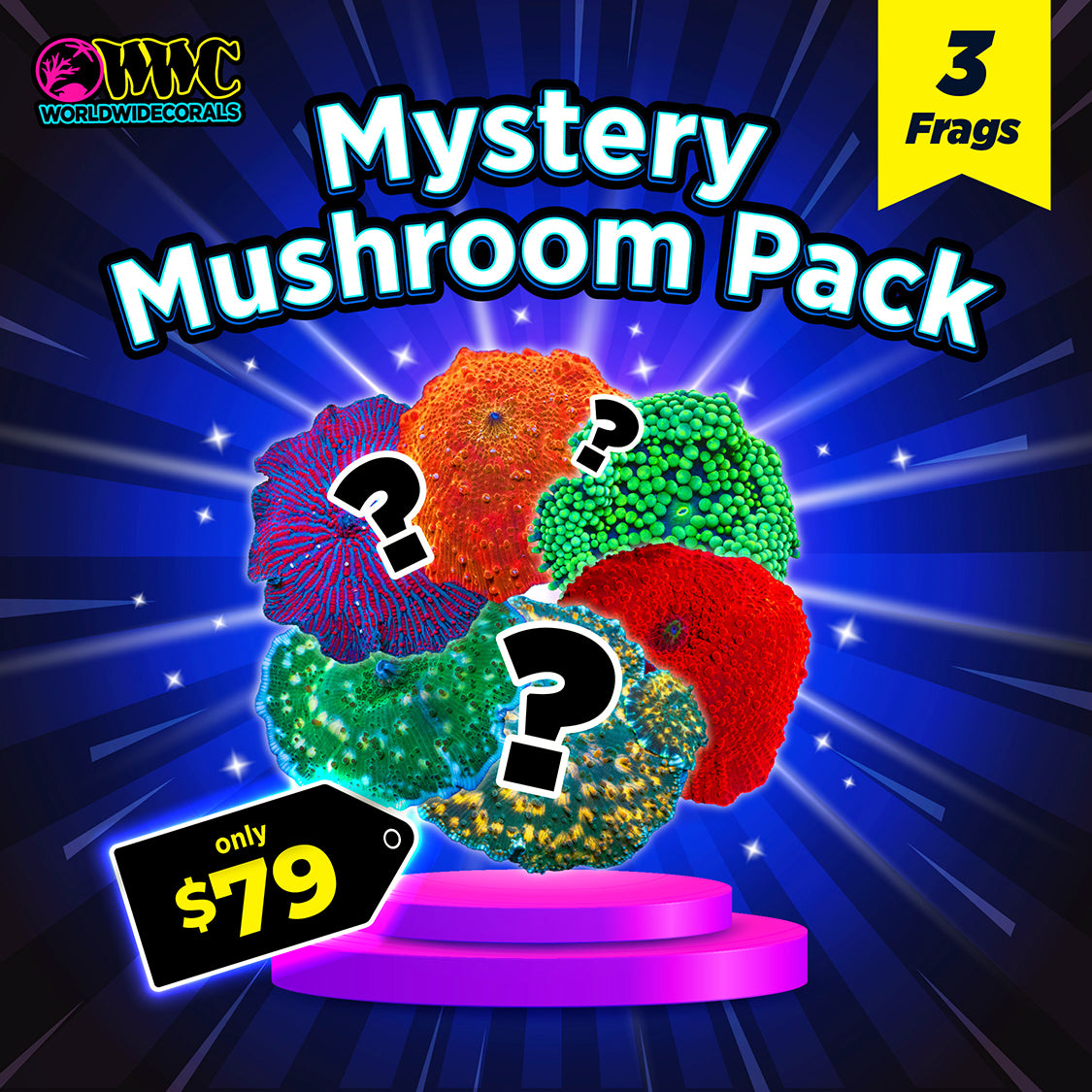 Mystery Mushroom 3 Pack