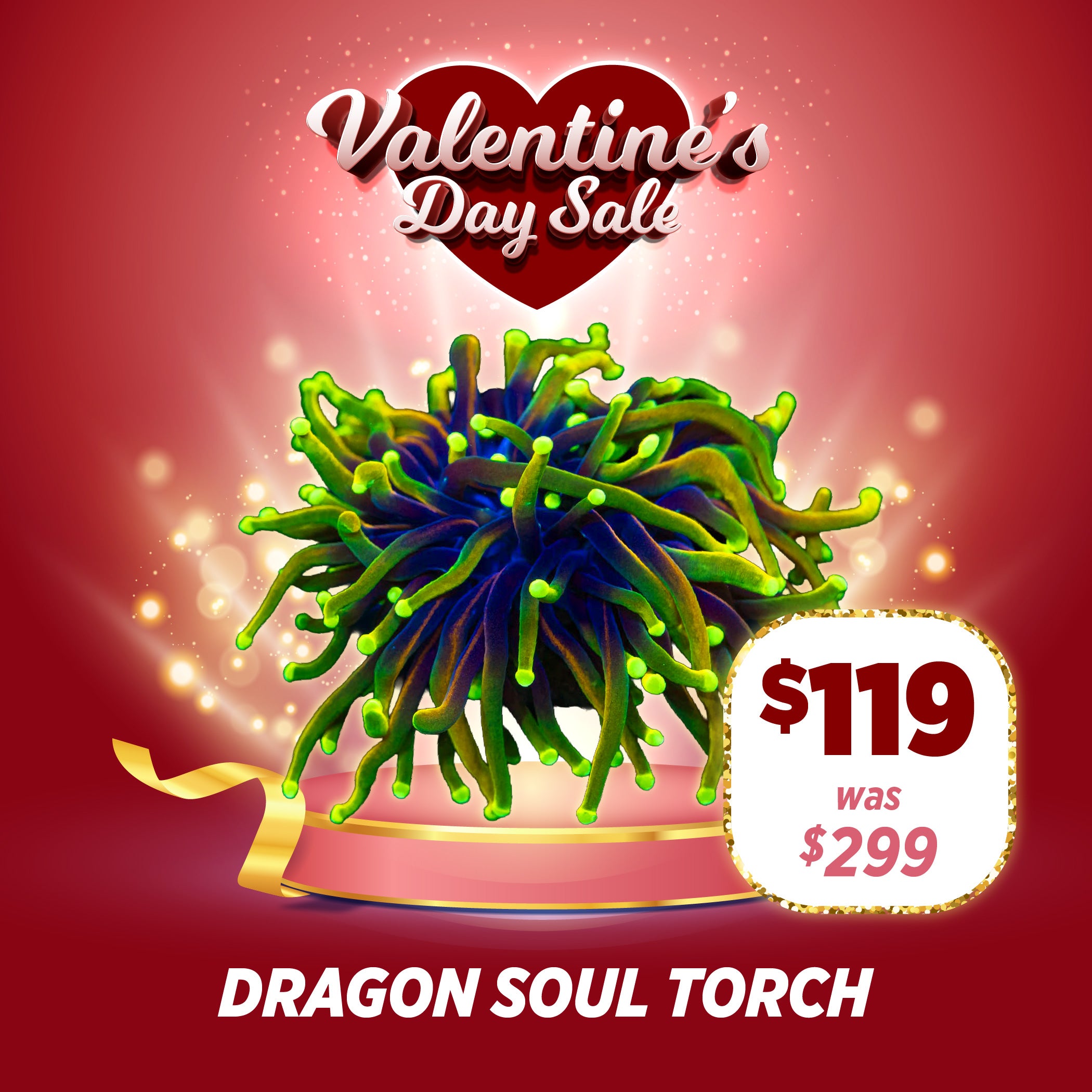 Dragon Soul Torch