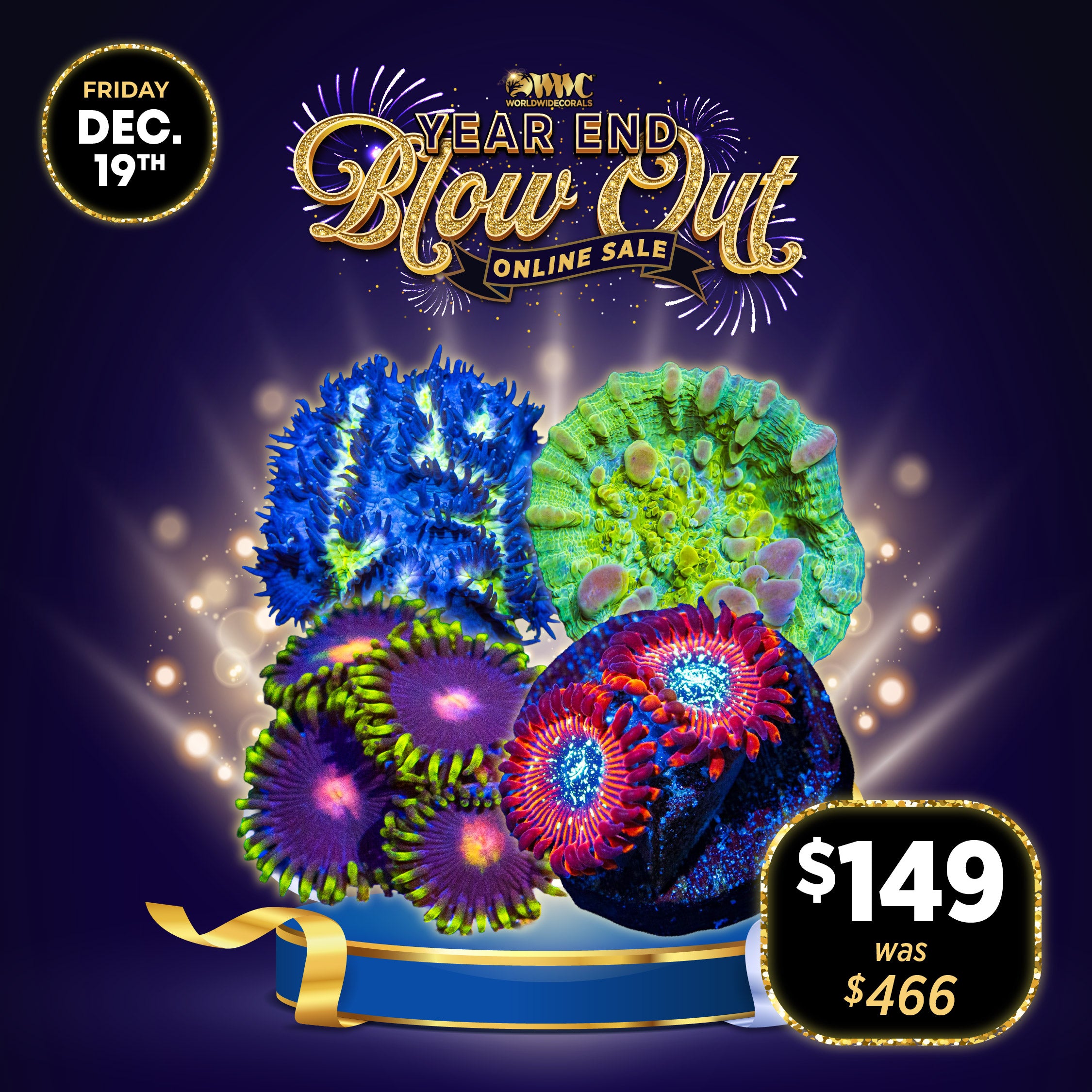 Year End Blow Out Pack 1