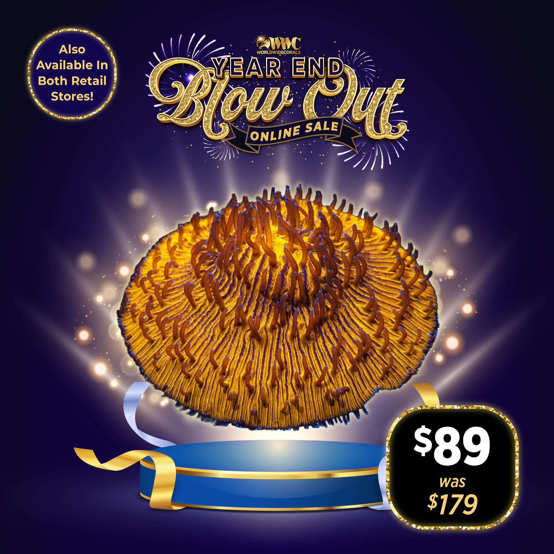 Sunny Day Plate Coral