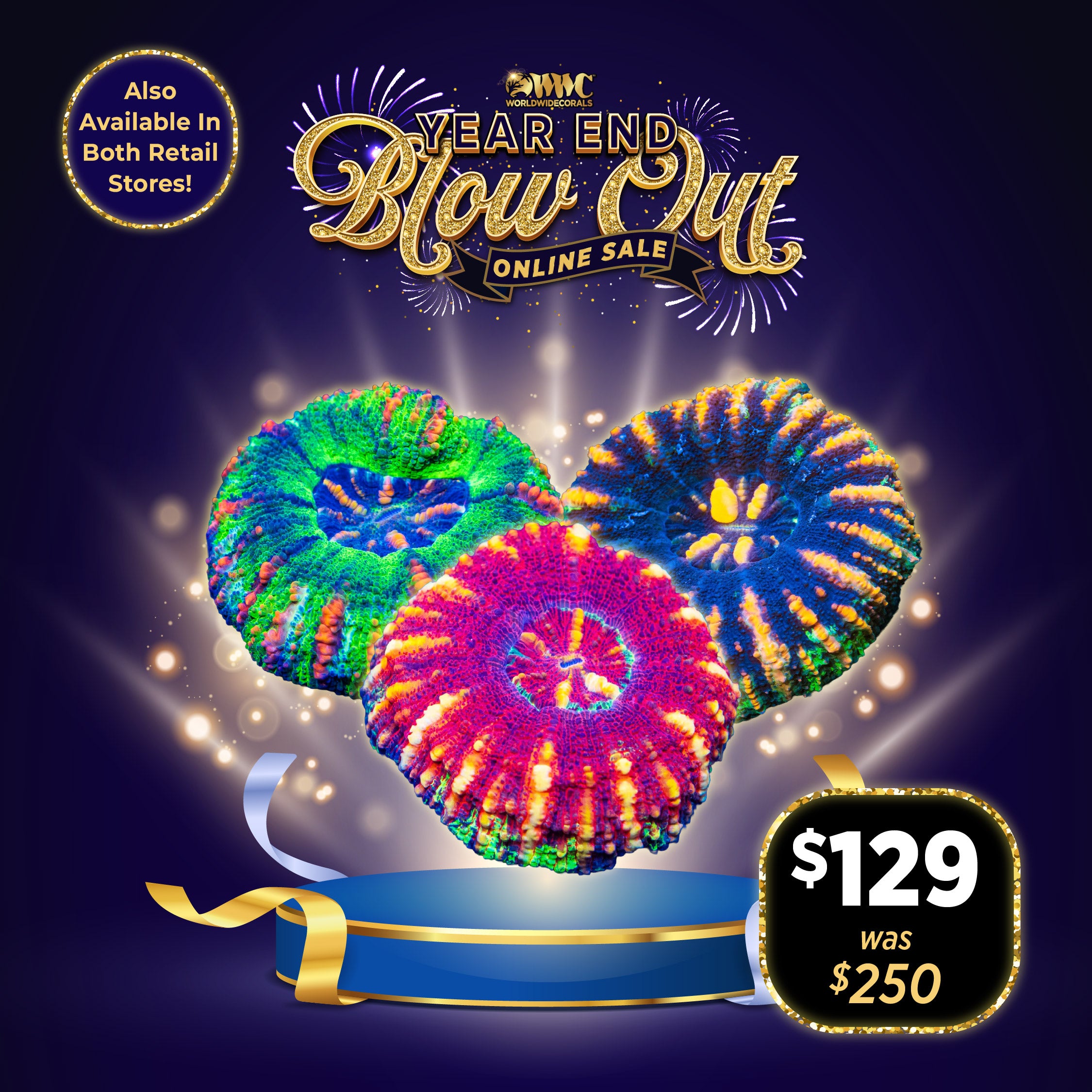 Button Scoly Variety Pack