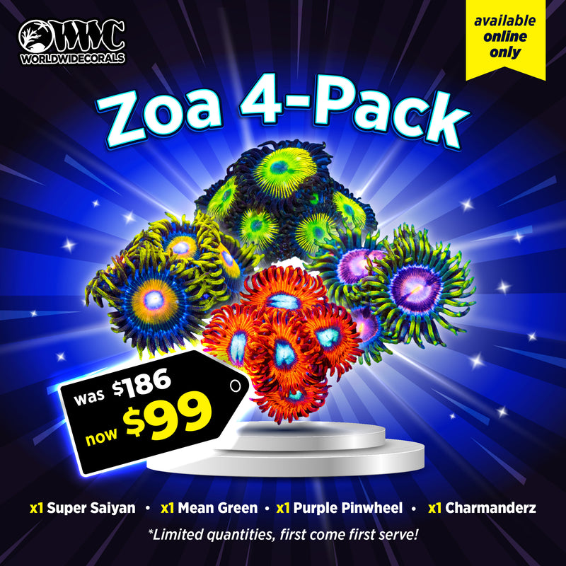 WWC Feature Friday - Zoa Pack 1