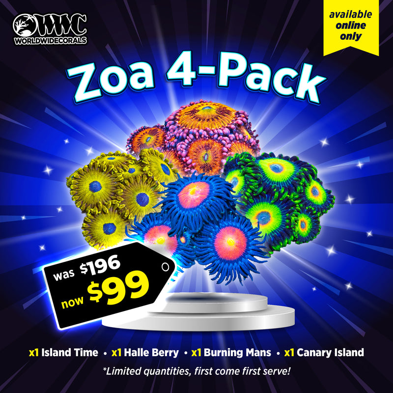 WWC Feature Friday - Zoa Pack 2