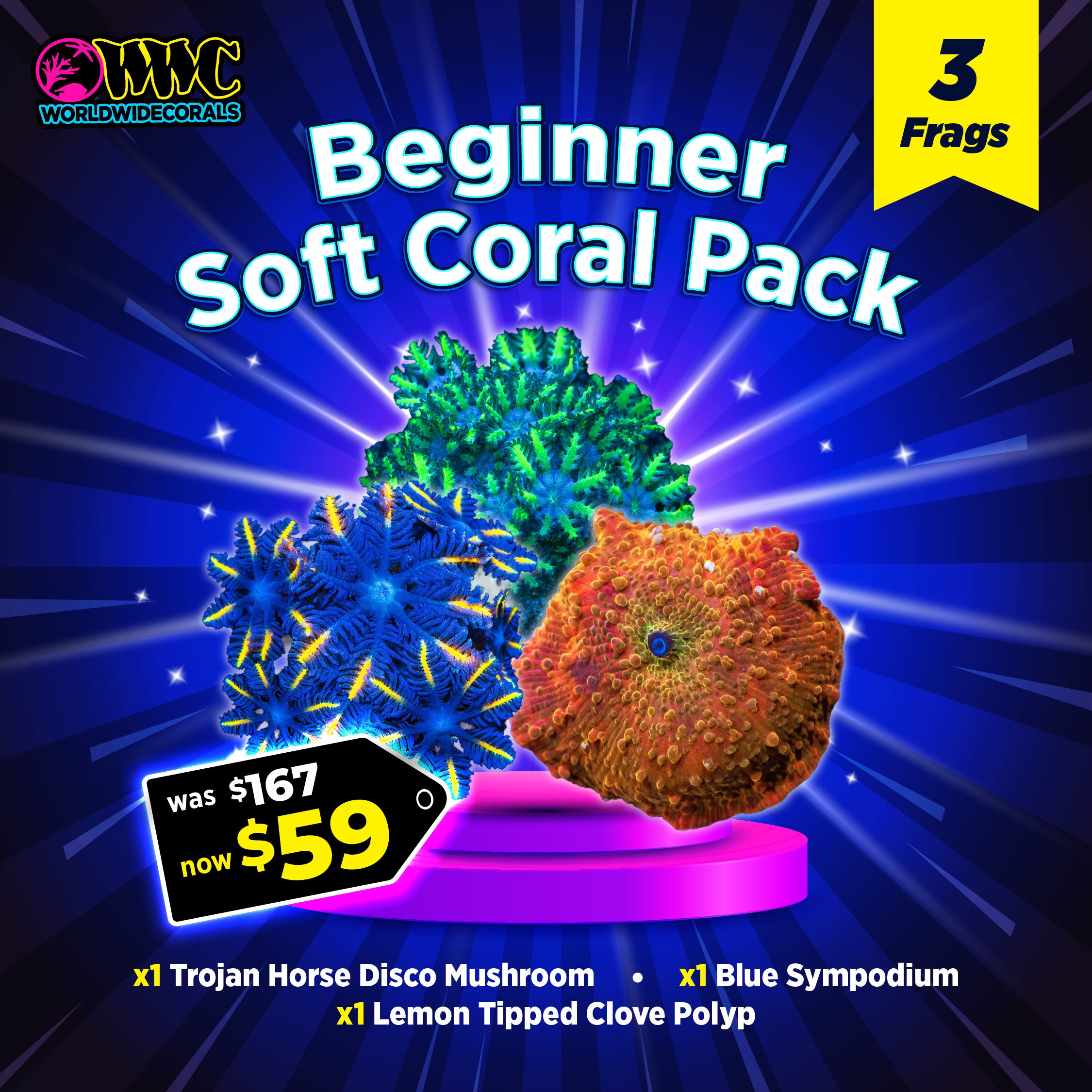 Beginner Soft Coral Pack