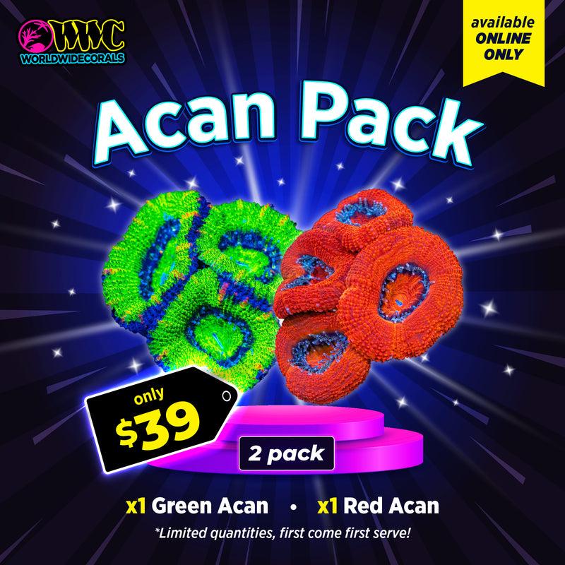 WWC Feature Friday - Red and Green Aussie Lord Pack