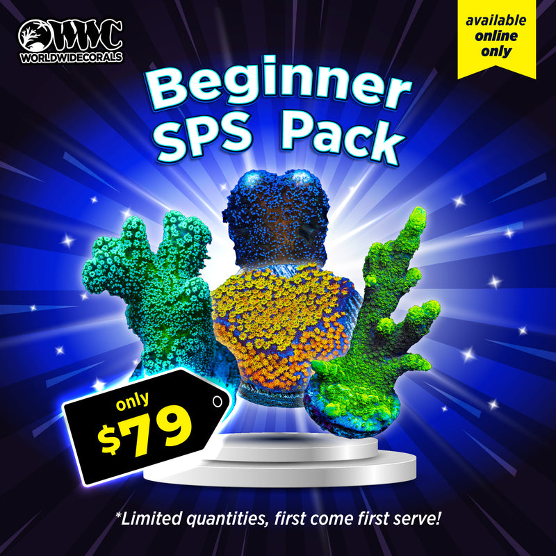 WWC Feature Friday - Beginner SPS Frag Pack