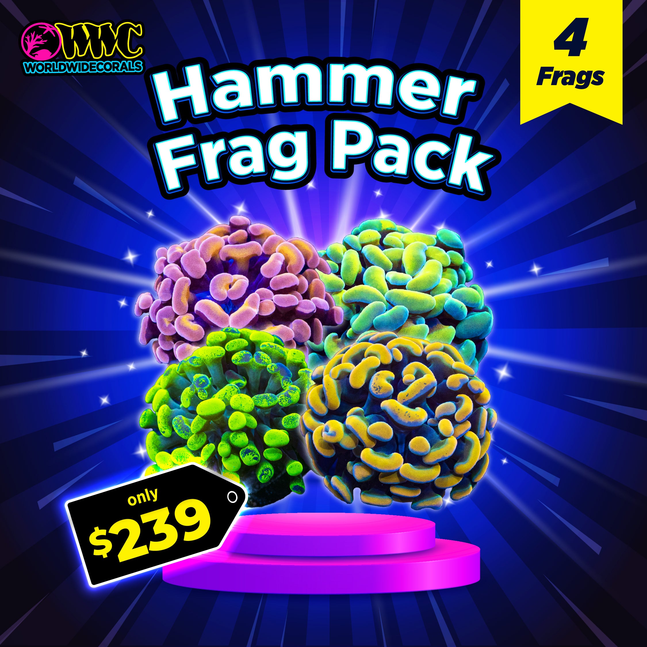 Hammer Frag Pack