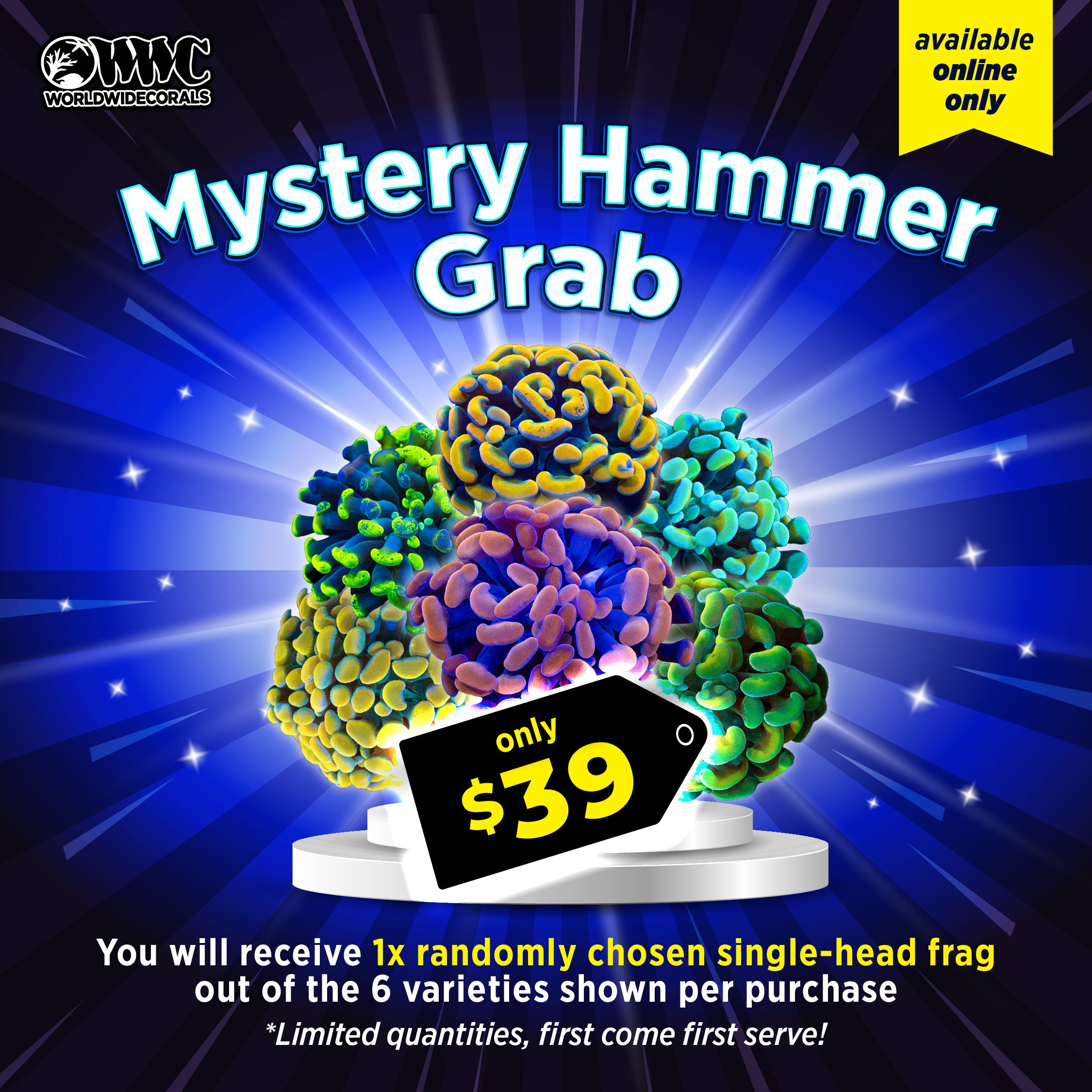WWC Feature Friday - Mystery Hammer Grab!