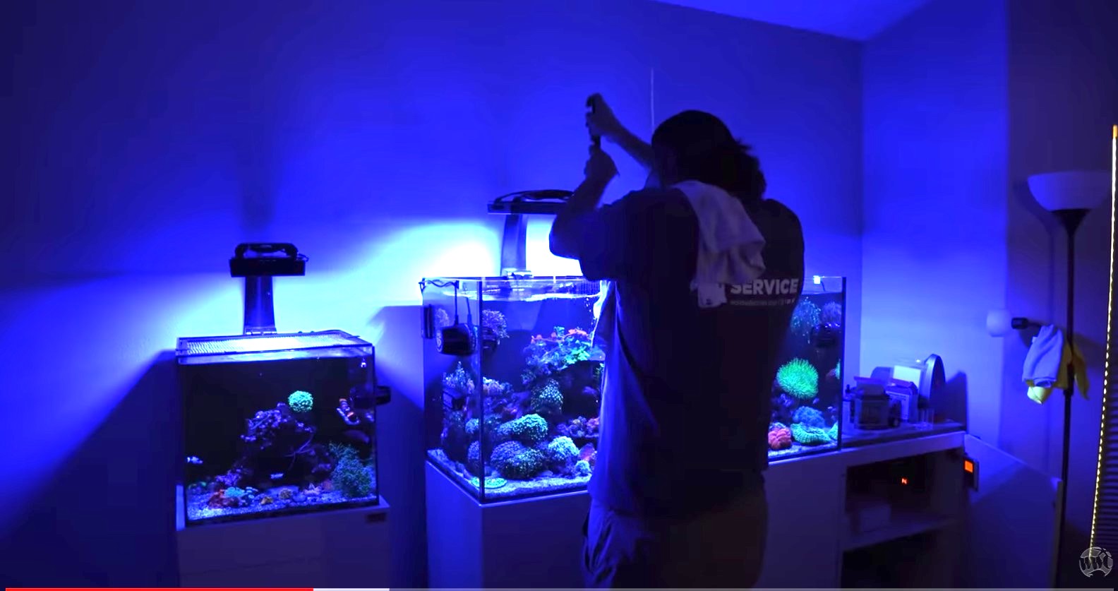 Shops aquarium maintenance service