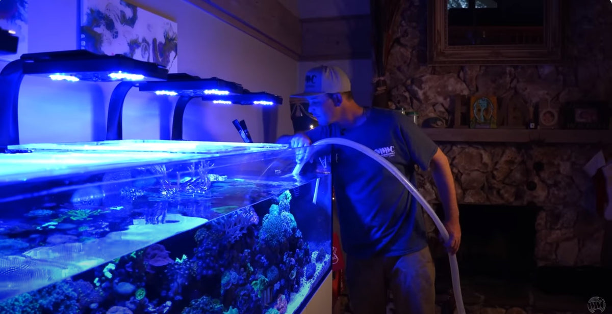 Professional Aquarium Maintenance Services in Orlando, FL
