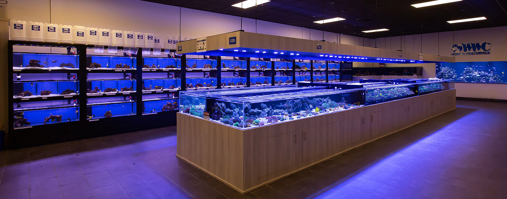 Aquatics stores sale