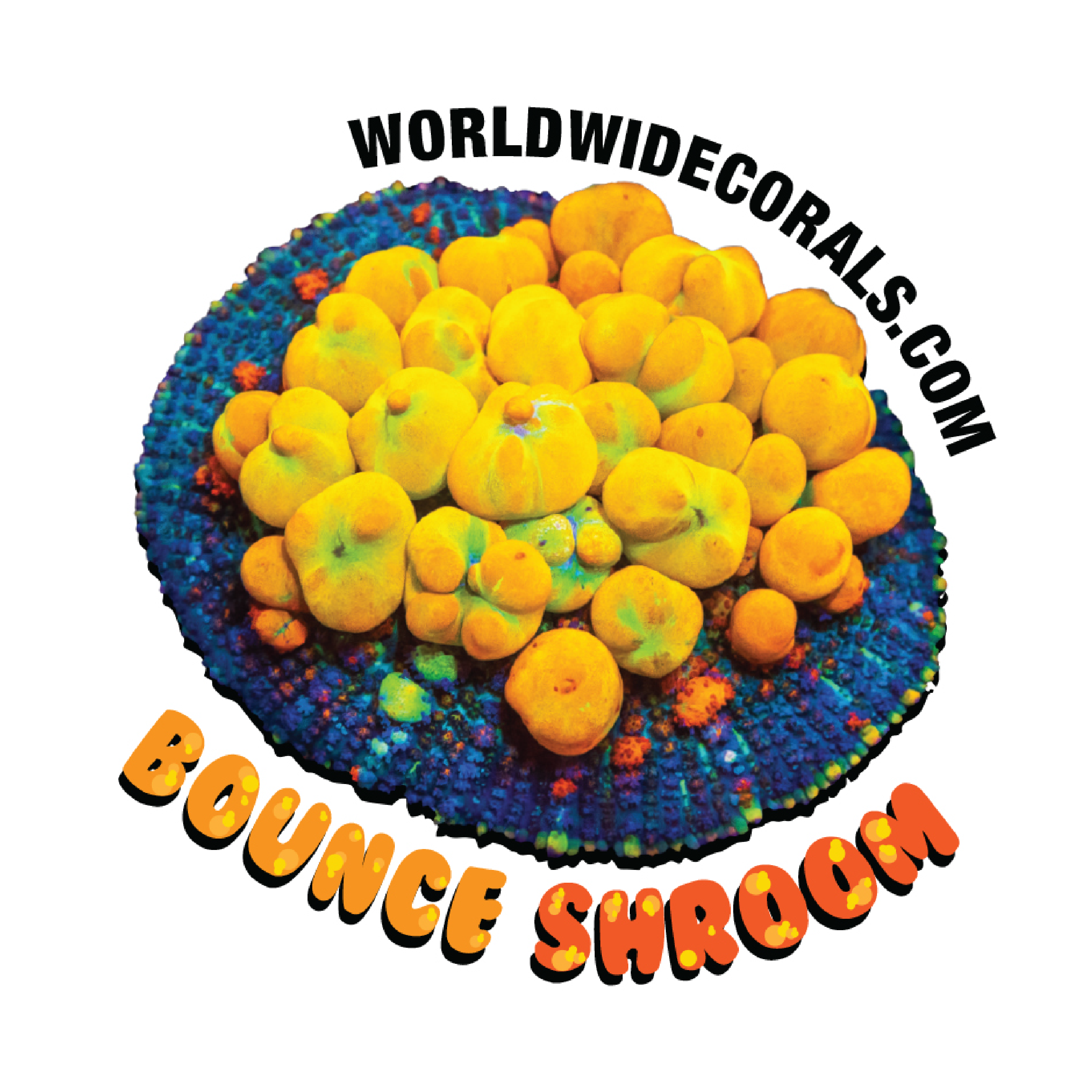 WWC OG Bounce Sticker