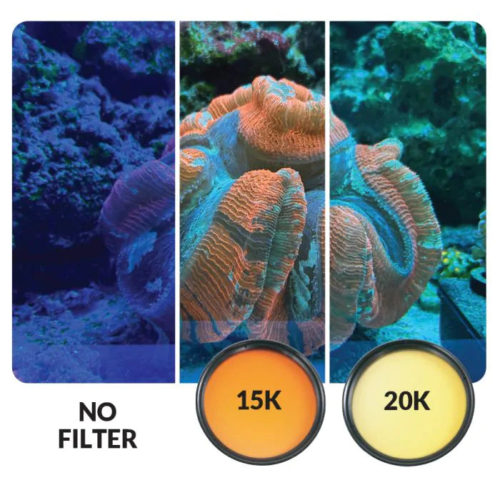 IceCap Mobile Phone Stackable Filter Lens Kit