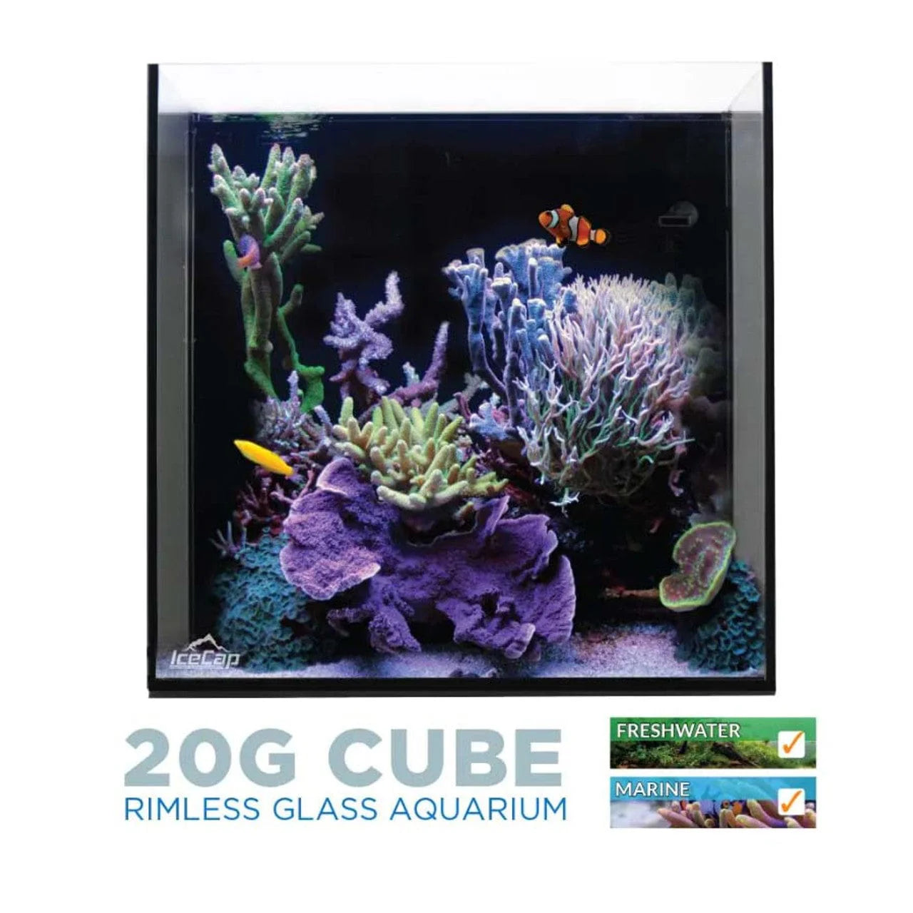 IceCap 20 Gallon Cube AIO Rimless Glass Aquarium