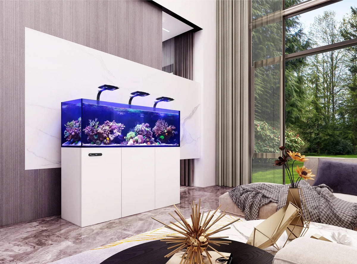 Maxspect Lagoon LS-150 — Rimless Reef Aquarium System