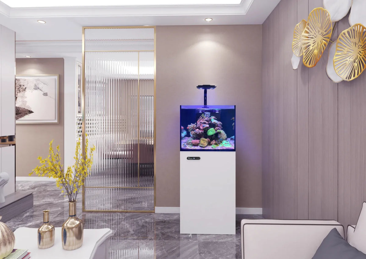 Maxspect Smart Lagoon LS-60 — Rimless Reef Aquarium System