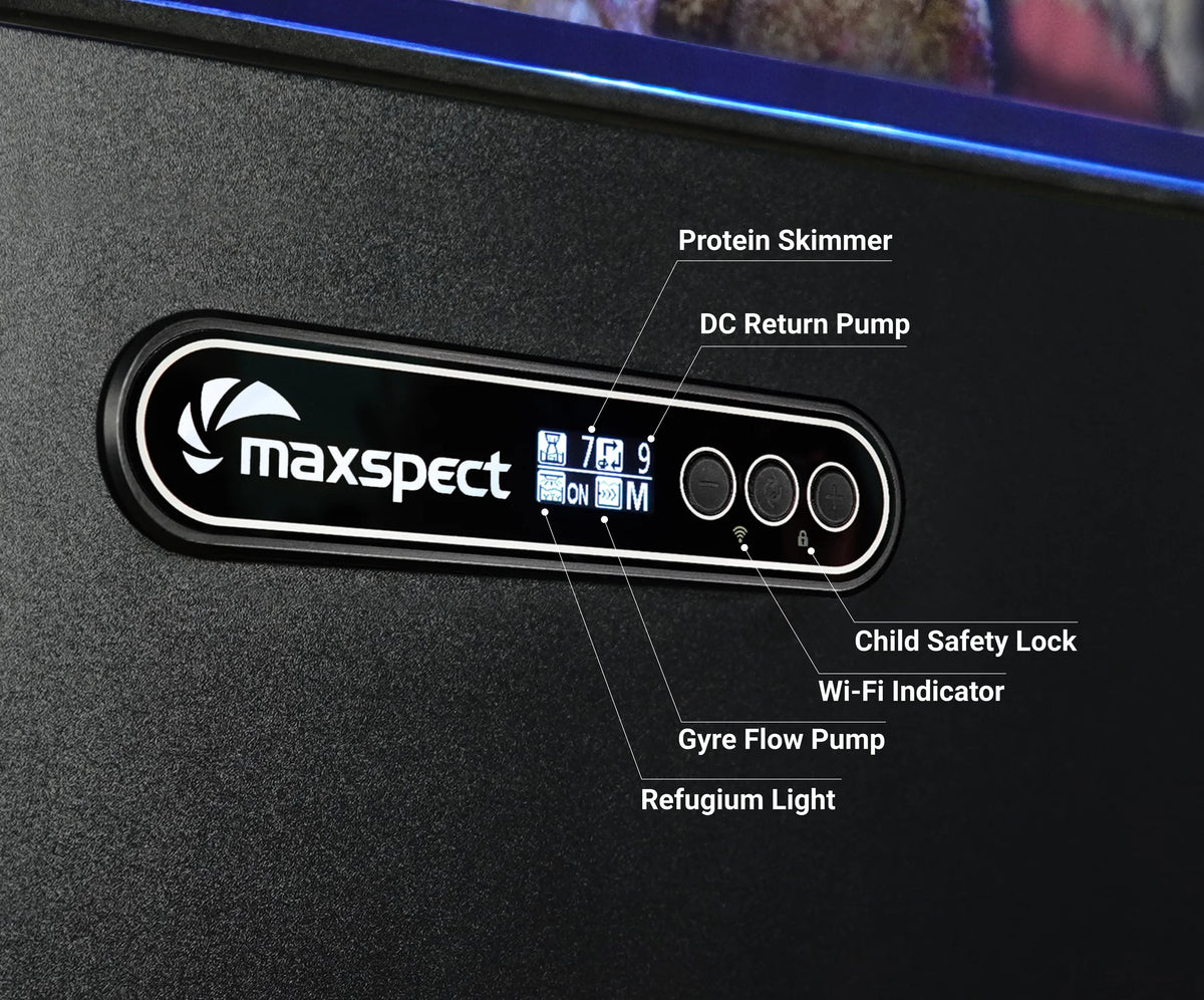 Maxspect Lagoon LS-150 — Rimless Reef Aquarium System