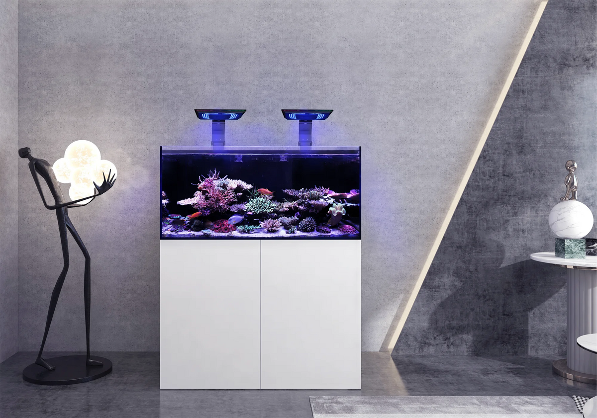 Maxspect Lagoon Reef-Ready LR-120 — Rimless Reef Aquarium System