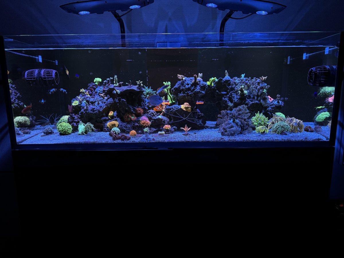 Kessil AP9X LED Aquarium Light