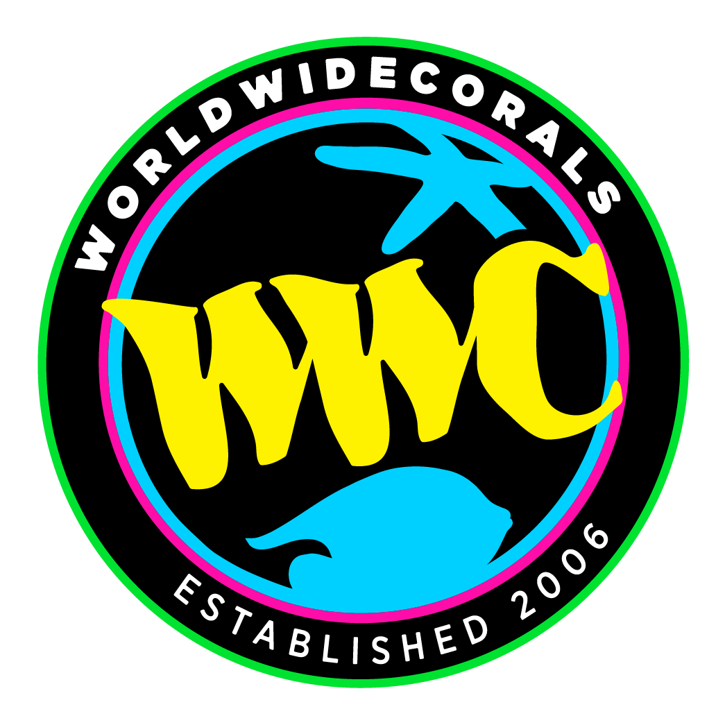 WWC Logo Sticker