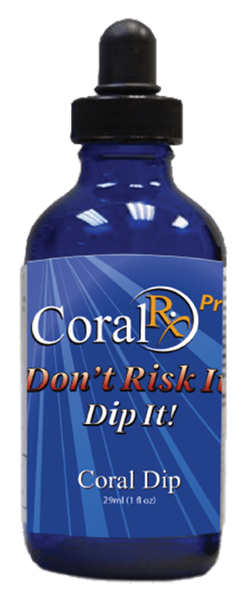 Coral Rx Pro Concentrated Coral Dip - 1 oz