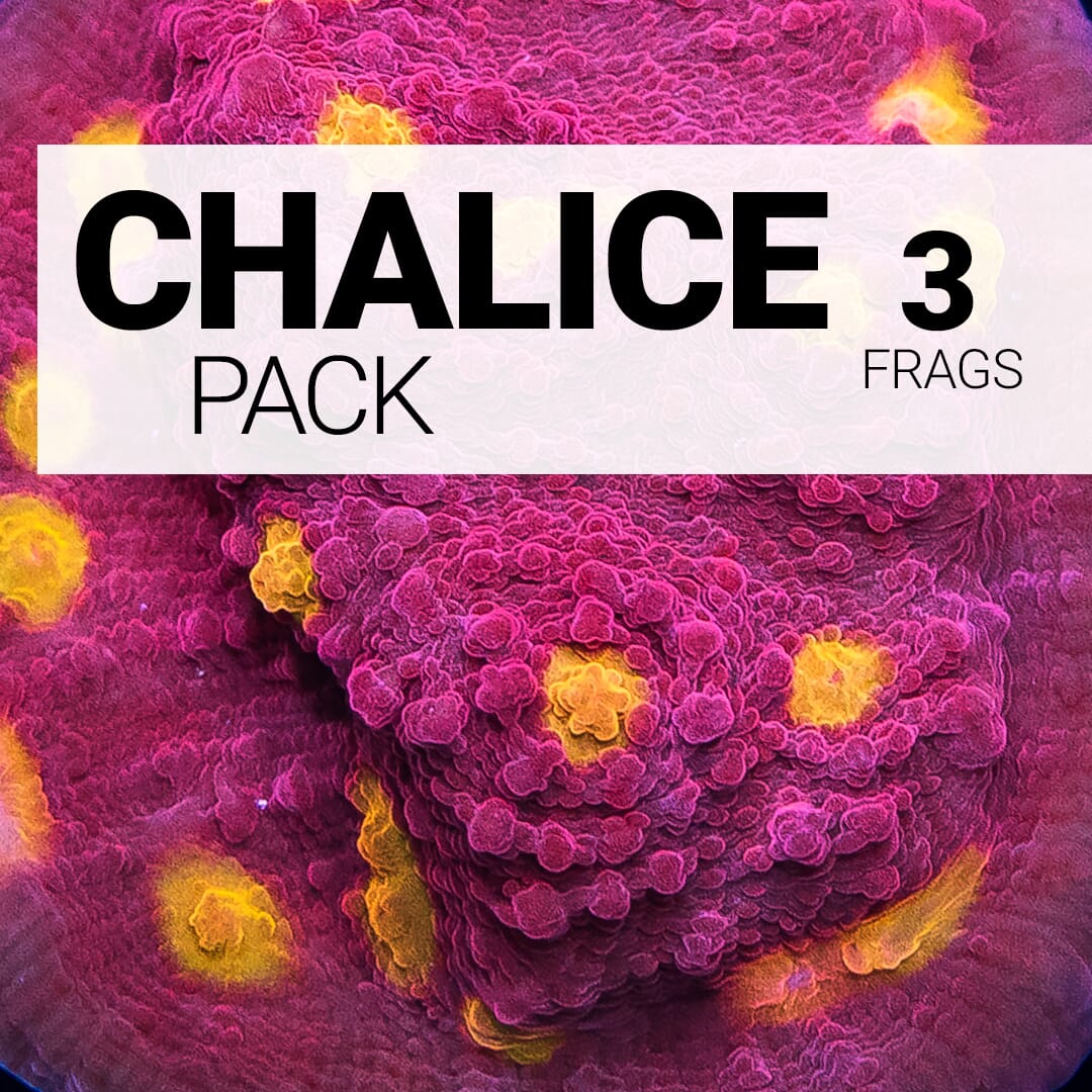 Chalice Pack